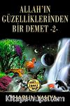 Allah'ın Güzelliklerinden Bir Demet -2-