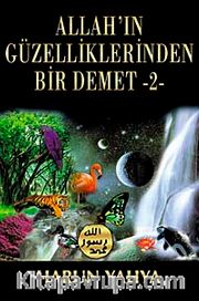 Allah'ın Güzelliklerinden Bir Demet -2-