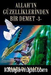 Allah'ın Güzelliklerinden Bir Demet -3-