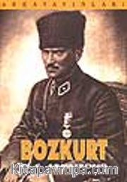Bozkurt