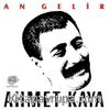 Ahmet Kaya - An Gelir (Plak)
