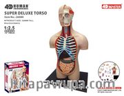 Deluxe Gövde Maketi (38 cm)