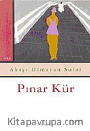 Akışı Olmayan Sular