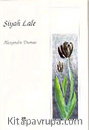 Siyah Lale