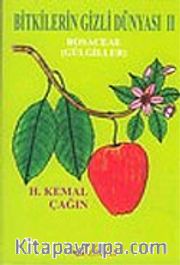 Bitkilerin Gizli Dünyası II (Gülgilller)