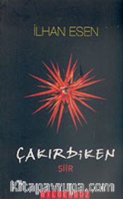 ÇakırDiken