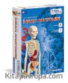 İlk Keşiflerim - İnsan Anatomisi (Kod:64297)
