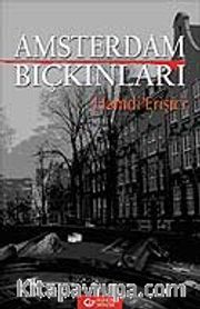 Amsterdam Bıçkınları