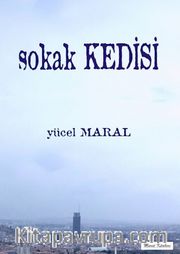 Sokak Kedisi