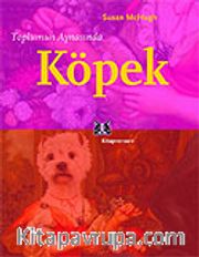 Toplumun Aynasında Köpek