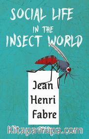 Social Life in The insect World 