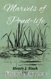 Marvels of Pond-Life
