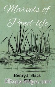 Marvels of Pond-Life