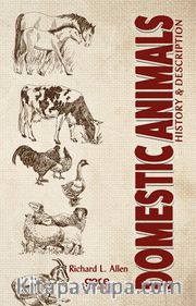 Domestic Animals
