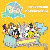 Kavramları Öğreniyorum 1