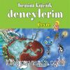 Benim Küçük Deneylerim / Çevre