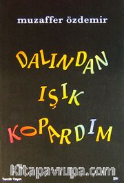 Dalından Işık Kopardım