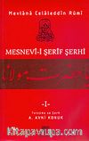 Mesnevi-i Şerif Şerhi 1