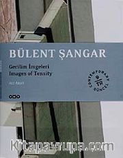 Bülent Şangar <br /> Gerilim İmgeleri