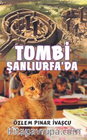 Tombi Şanlıurfa'da