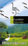 Salaga'nın Leylekleri