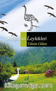 Salaga'nın Leylekleri
