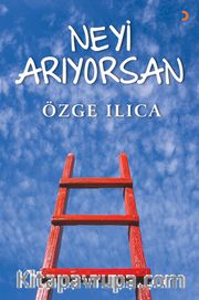 Neyi Arıyorsan
