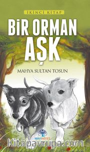Bir Orman Aşk