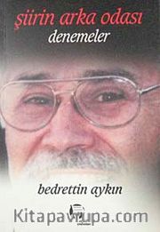 Şiirin Arka Odası-Denemeler