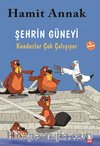 Şehrin Güneyi / Meraklı Martılar ve Çevremiz: 2. Kitap & Kunduzlar Çok Çalışıyor