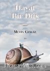 Hayat Bir Düş 