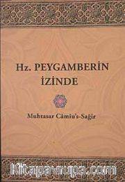 Hz. Peygamberin İzinde