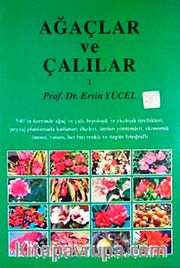 Ağaçlar ve Çalılar