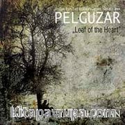 Pelguzar