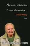 Ne İnciler Döktürdüm Aslına Ulaşamadım...