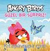 Angry Birds Güzel Bir Sürpriz!