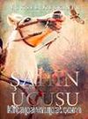 Şahin Uçuşu