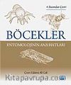 Böcekler & Entomolojinin Ana Hatları