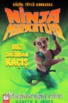 Ninja Mirketler -3 Buz Dağından Kaçış