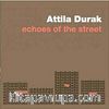 Echoes of the Street