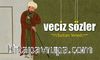 Sultan Veled - Veciz Sözler