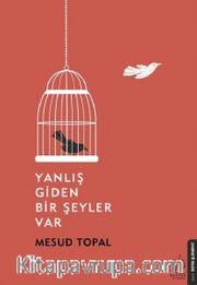 Yanlış Giden Bir Şeyler Var