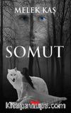 Somut