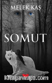 Somut