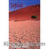 Gece Yolculuğu 3 (Kaset) Şefaat