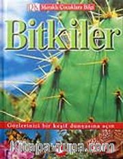 Bitkiler
