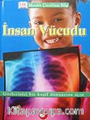 İnsan Vücudu