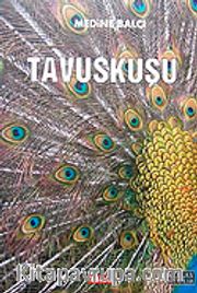 Tavuskuşu