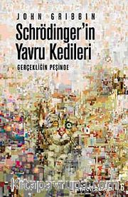 Schrödinger'in Yavru Kedileri <br /> Gerçekliğin Peşinde