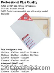Ponart Profesyonel A Plus Kalite Tuval 25X50